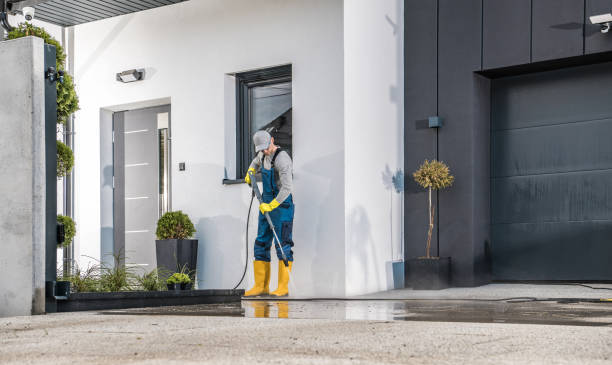 Best Rust Removal  in Pine Ridge, FL
